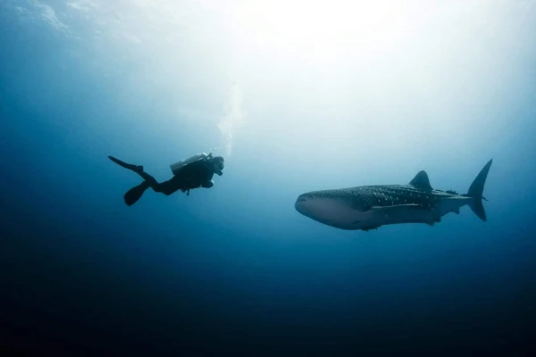Deep Diver Course - Explore depths to 40 meters