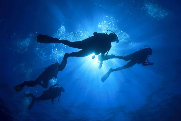 Night Diver Course - Discover the ocean after dark