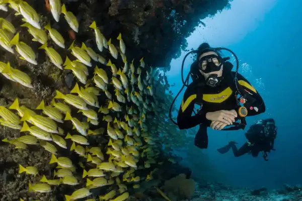 Open Water & Advanced Package - Double certification