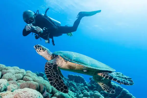 Open Water to Divemaster Package - Complete professional development