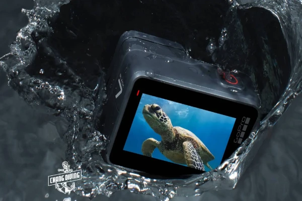 GoPro Rental - Capture your underwater adventures with professional equipment