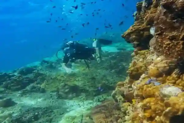 Hin Raab South dive site at Koh Chang – vibrant coral reef, rays and moray eels
