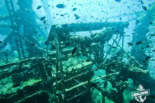 นักดำน้ำกำลังลงสู่ซากเรือหลวงช้าง ที่เกาะช้าง