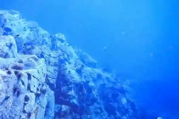 Colorful corals and dense schools of fish at Koh Rang Pinnacle