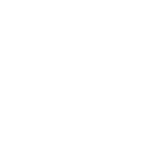 Chang Diving Logo