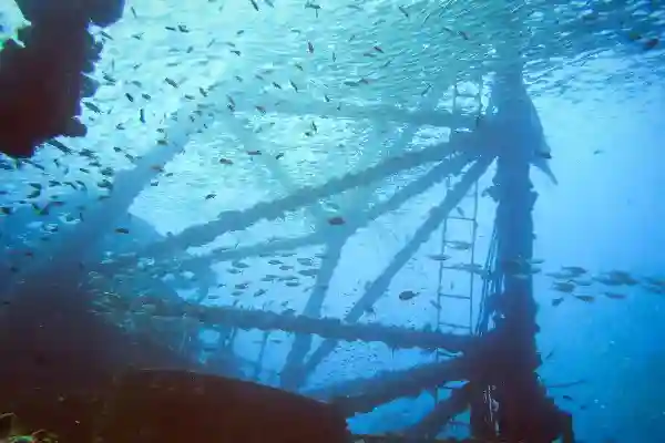 Honest insights about diving, gear, and pro life at Koh Chang dive center