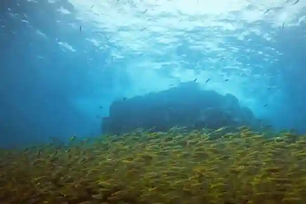 Open Water Diver course process and certification steps