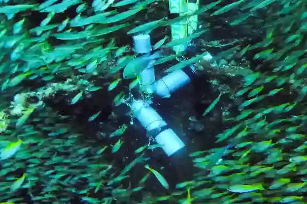 Honest insights about diving, gear, and pro life at Koh Chang dive center