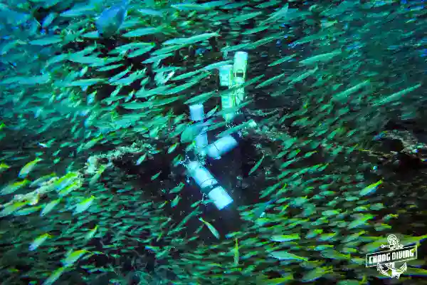Deep diving training session - Professional instructor teaching deep water safety techniques up to 40 meters