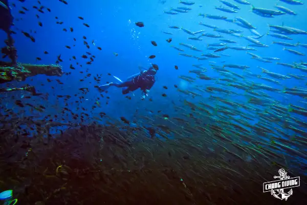 Scuba divers practicing deep diving skills - Advanced open water training at Koh Chang dive sites