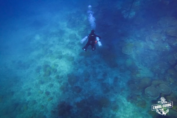 Deep diver specialty course students underwater - Learning gas management and narcosis prevention techniques