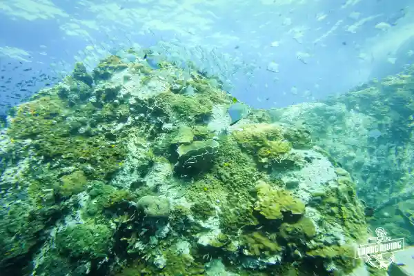 Professional deep diving certification training - SDI and PADI specialty courses in tropical waters Thailand
