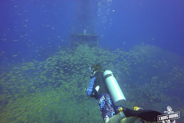 Divemaster course guiding certified divers and assisting instructors