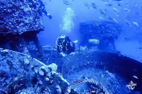 Fun diving Koh Chang discovering marine life and underwater photography