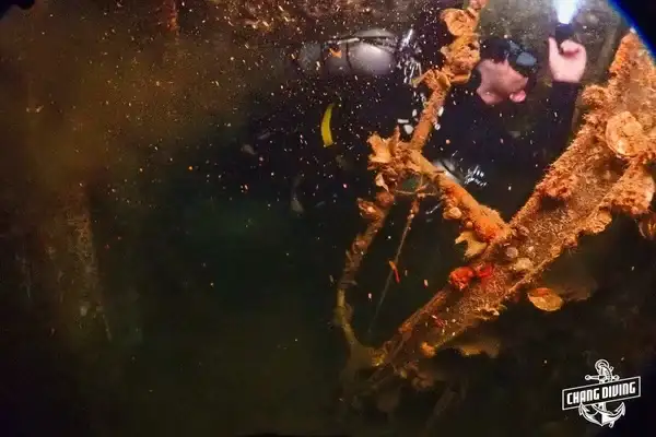 Fun diving Koh Chang guided boat diving experience with professional crew