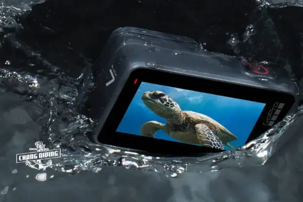 GoPro HERO 7 Black rental for underwater photography and video