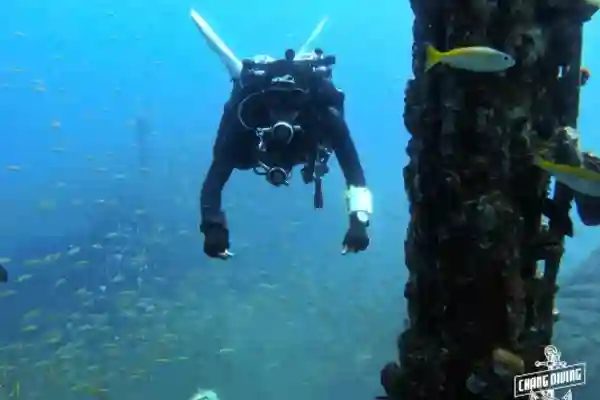 Master Scuba Diver Programm Wracktauchen und Tieftauchen Spezialkurse