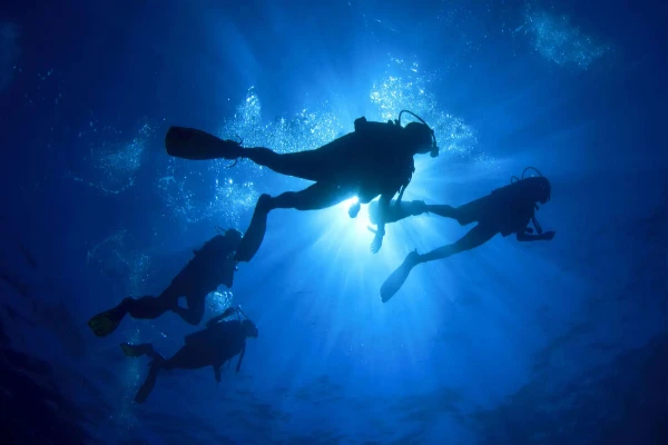 Night Diver Course – Discover the Ocean After Dark