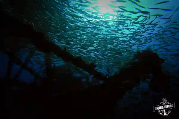 Underwater night scene with diver's light revealing colorful reef life