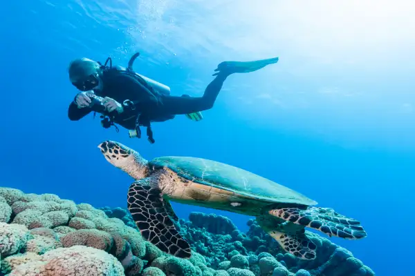 Open Water to Divemaster Package – Complete Pro Training