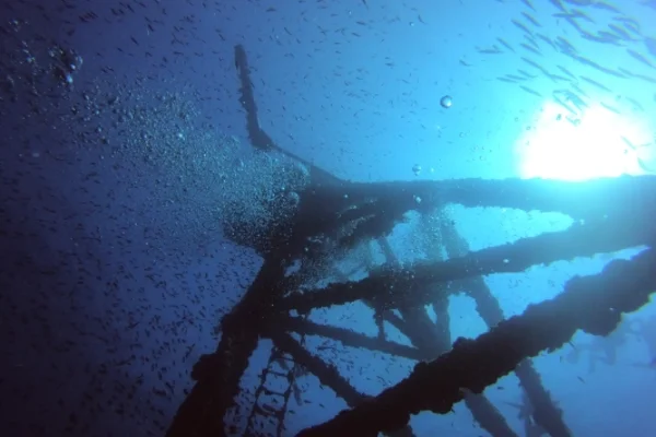 Open water to divemaster internship teaching skills and leadership development