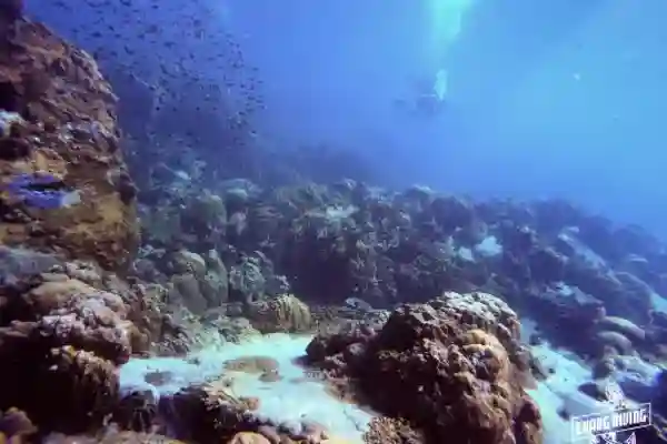 Rescue Diver Kurs Oberflächenrettung und Training erschöpfter Taucher
