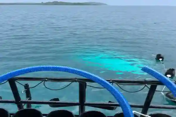 Diver practicing search patterns during search and recovery course