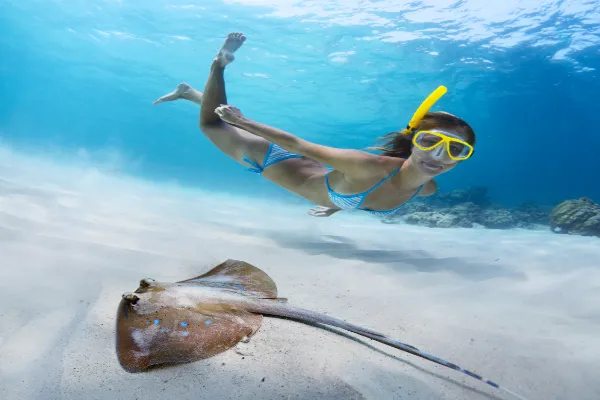 Snorkeling Trips Koh Chang – Discover the Underwater World