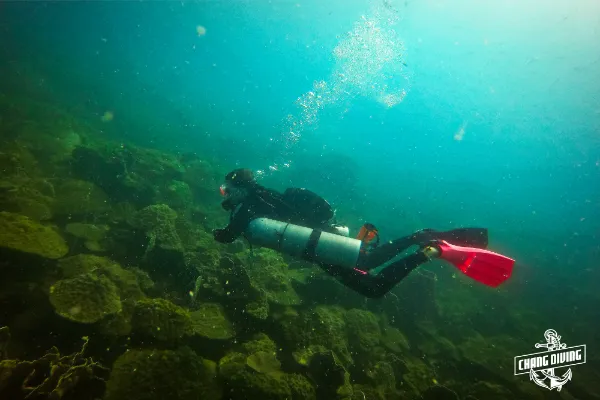 Solo diver demonstrating emergency protocols and self-rescue techniques underwater
