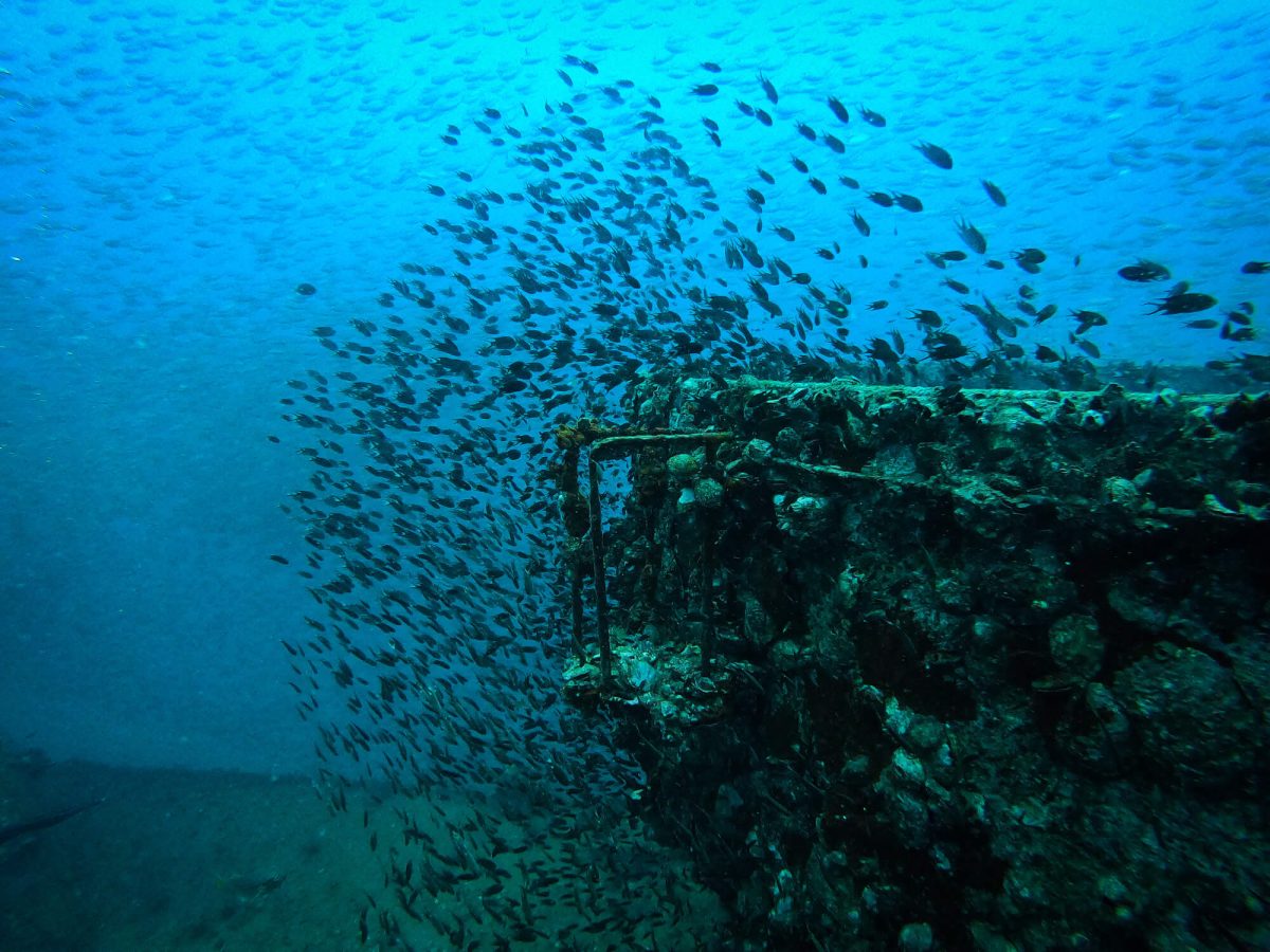 HTMS CHANG WRECK